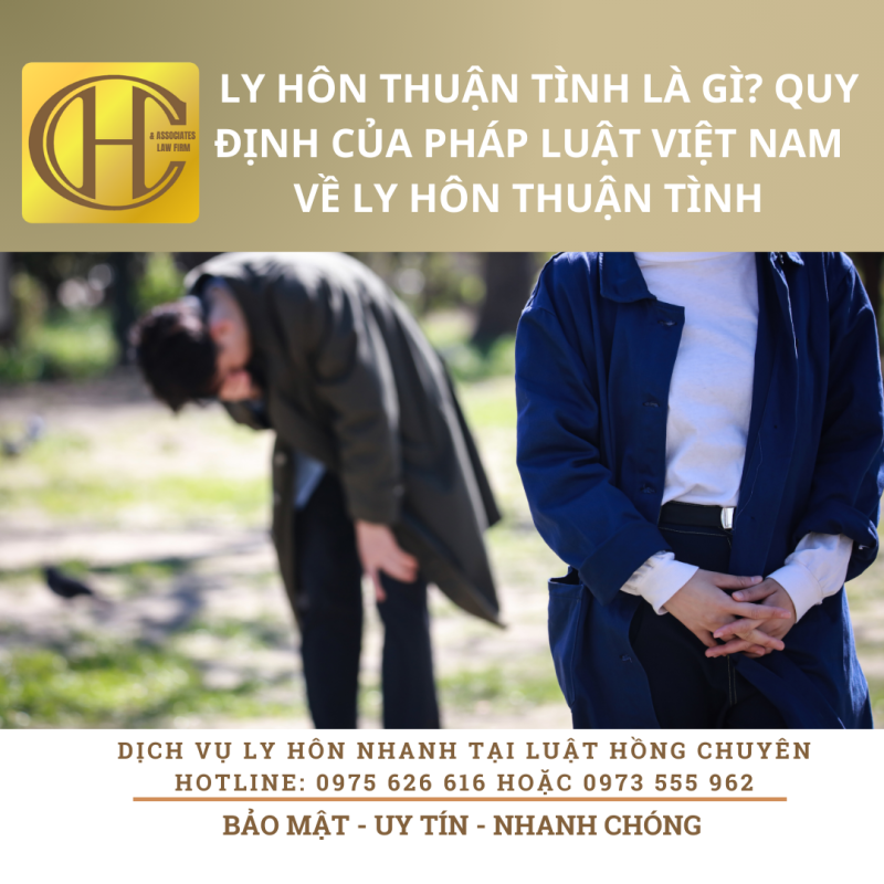THUẬN TÌNH LY HÔN THUẬN TÌNH LY HÔN