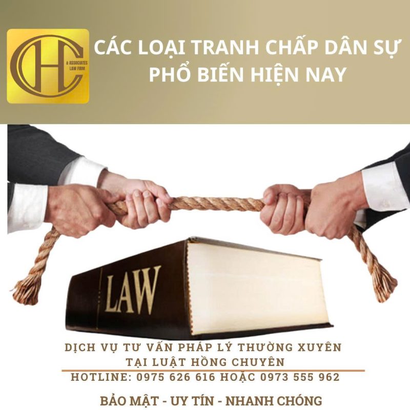 CÁC LOẠI TRANH CHẤP DÂN SỰ